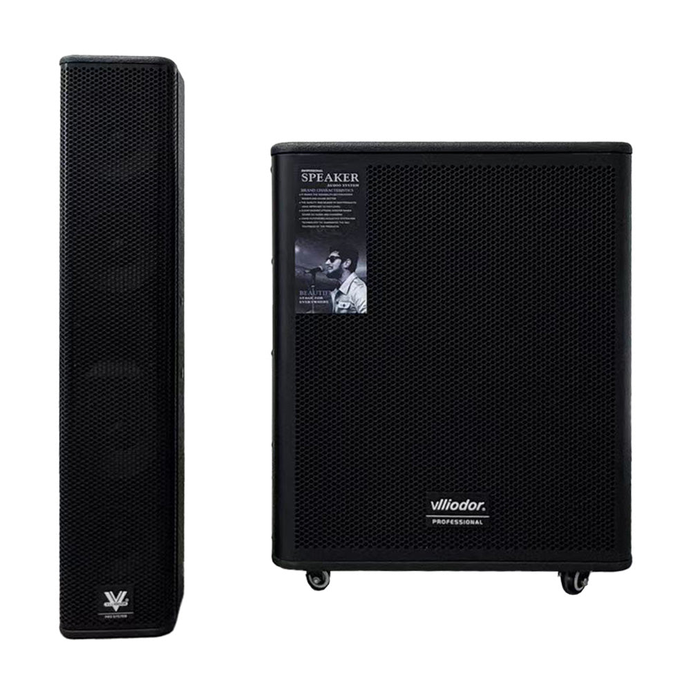 Sistem Audio Profesional Vlliodor – Boxe Active cu Subwoofer, 3800W, DSP, 2 Microfoane Wireless