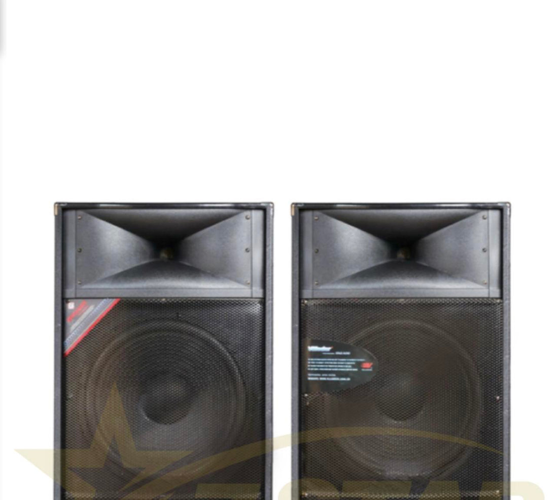 Boxe profesionale Vlliodor NRS , 1180W, 2 difuzoare 15inch, microfoane fara fir, bluetooth, USB, 5 band graphic equalizer