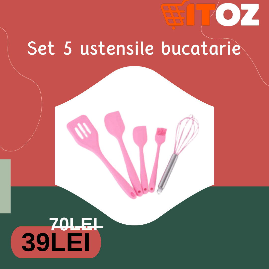 Set 5 ustensile bucatarie