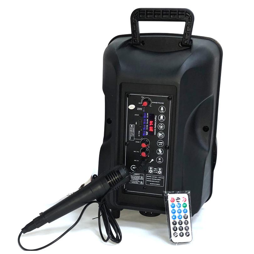 Boxa Activa Portabila 250 W , 8 Inch ,Microfon Cu Fir, USB, Radio, Bluetooth,Telecomandă+Cadou + bratara fitness